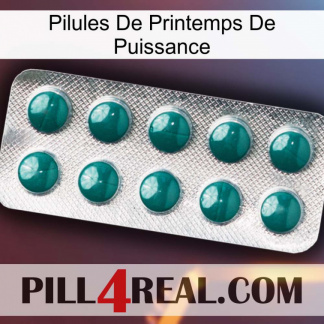 Power Spring Pills dapoxetine1